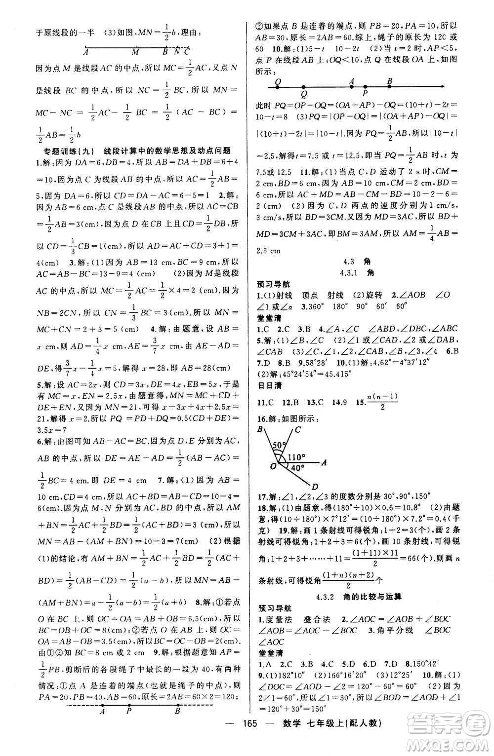 新疆青少年出版社2020年四清導航數(shù)學七年級上冊人教版答案