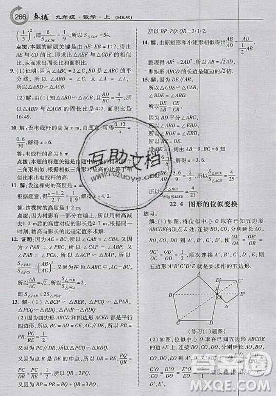 上?？茖W(xué)技術(shù)出版社2020年九年級上冊滬科版數(shù)學(xué)教材習(xí)題答案