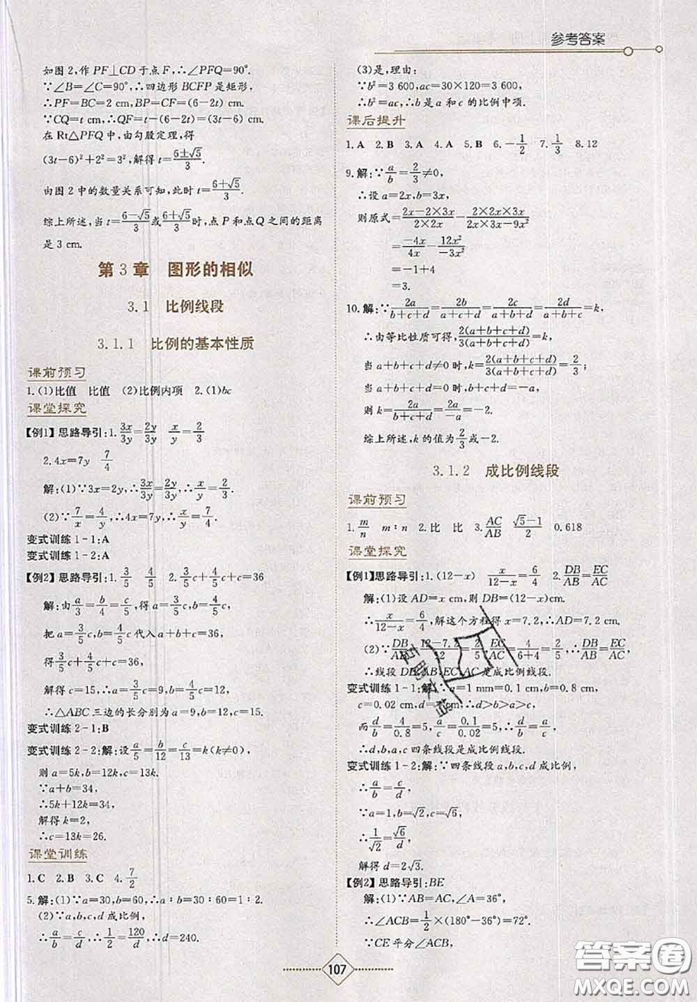 湖南教育出版社2020學(xué)法大視野九年級數(shù)學(xué)上冊湘教版參考答案