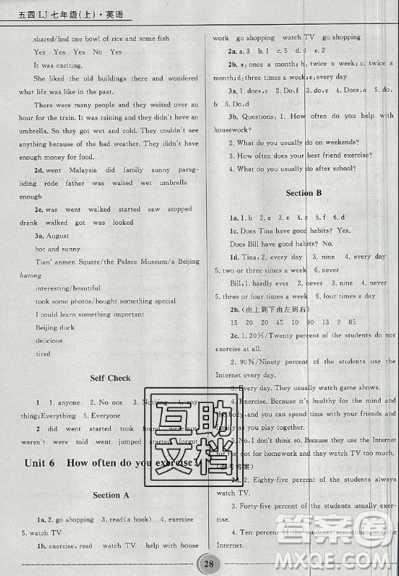 山東教育出版社2020年七年級(jí)上冊(cè)五四制魯教版英語(yǔ)教材習(xí)題答案