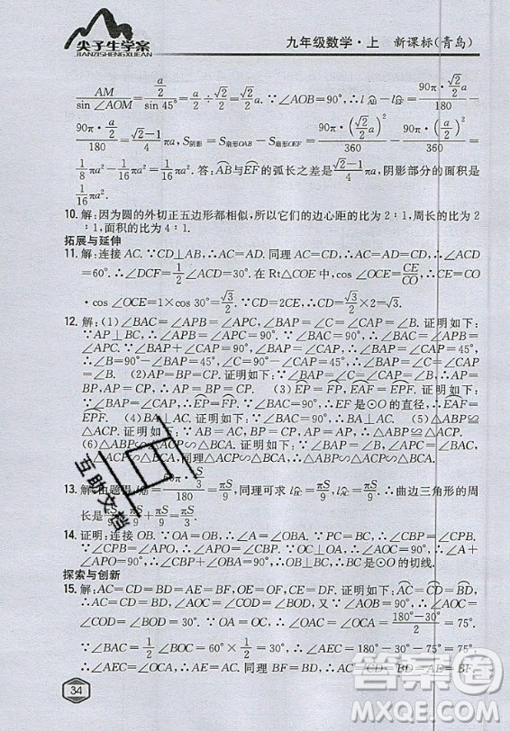 青島出版社2020年九年級(jí)上冊(cè)數(shù)學(xué)青島版教材習(xí)題答案