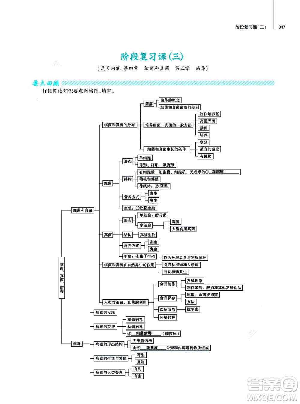 大象出版社2020年基礎(chǔ)訓(xùn)練八年級(jí)上冊(cè)生物學(xué)人教版答案