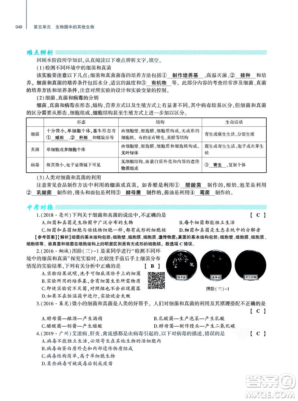 大象出版社2020年基礎(chǔ)訓(xùn)練八年級(jí)上冊(cè)生物學(xué)人教版答案