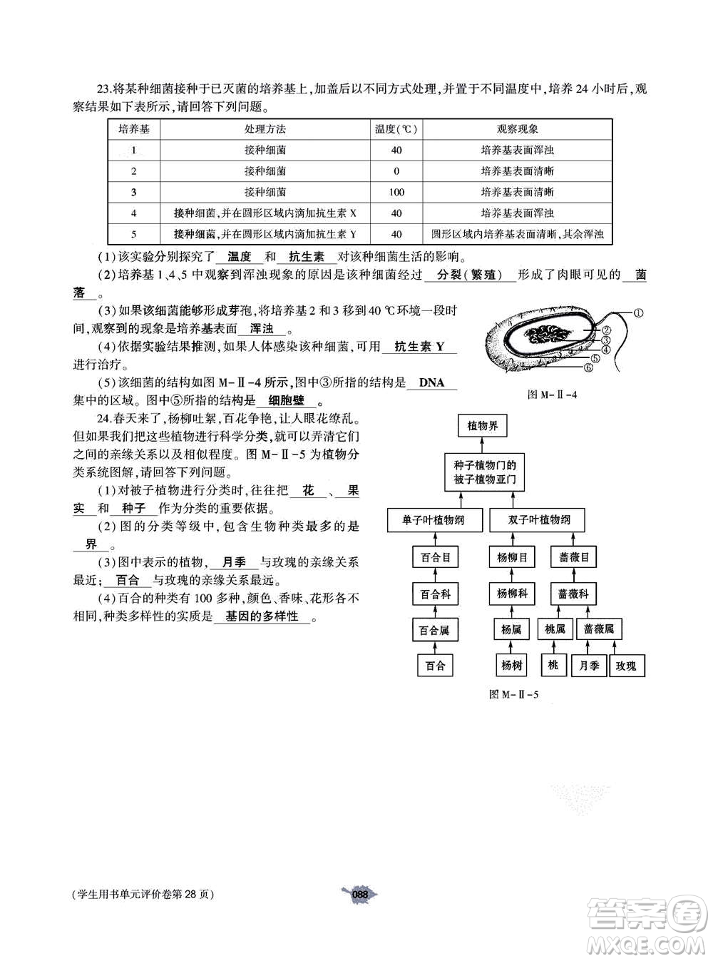 大象出版社2020年基礎(chǔ)訓(xùn)練八年級(jí)上冊(cè)生物學(xué)人教版答案