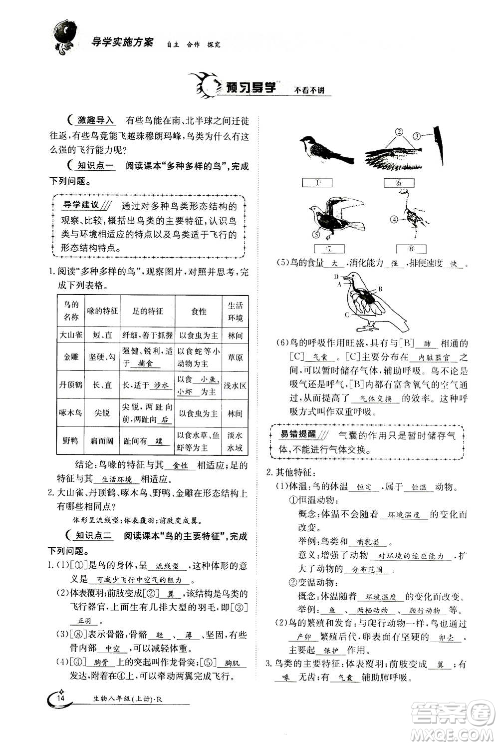 江西高校出版社2020年金太陽導(dǎo)學(xué)案生物八年級(jí)上冊(cè)人教版答案