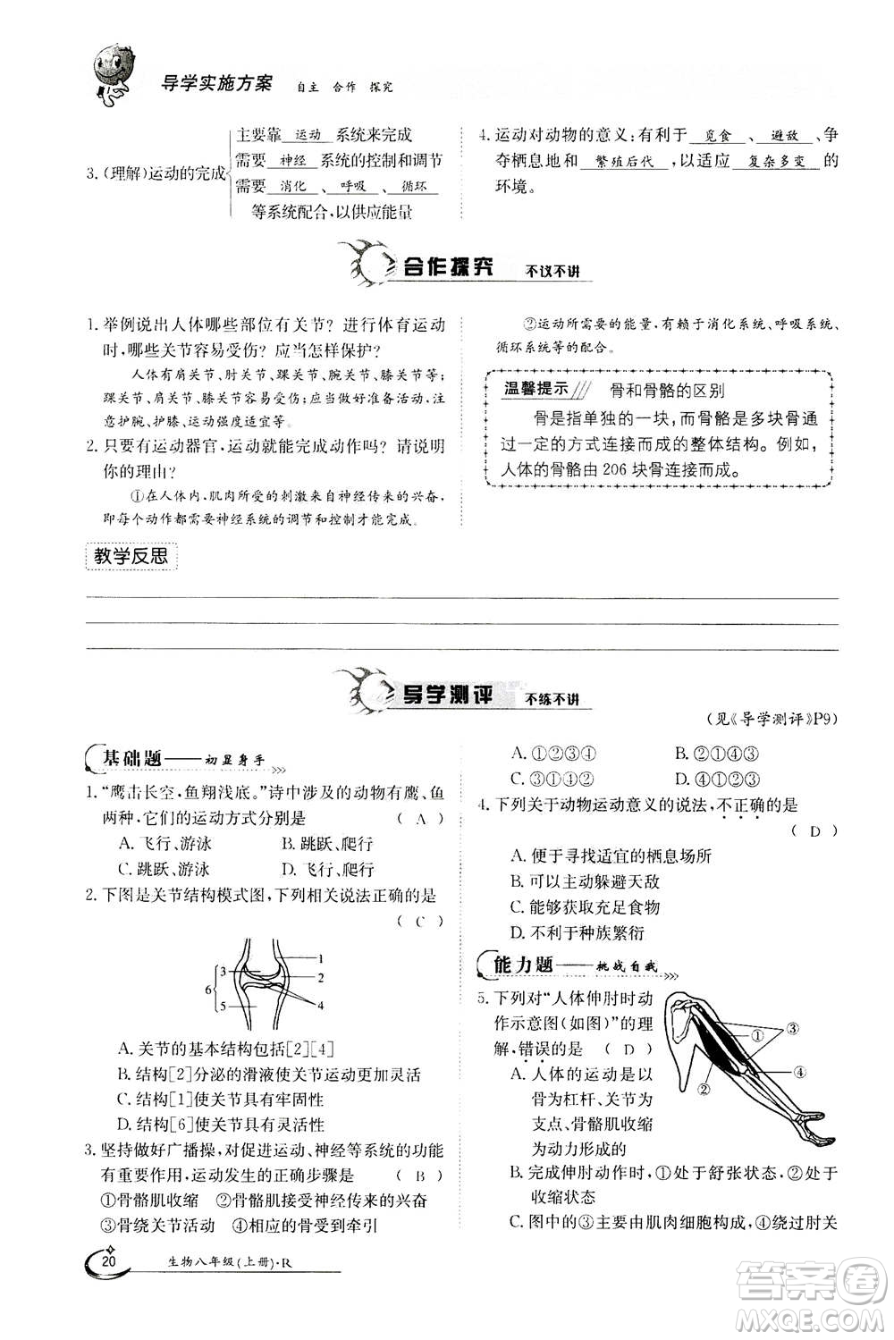 江西高校出版社2020年金太陽導(dǎo)學(xué)案生物八年級(jí)上冊(cè)人教版答案