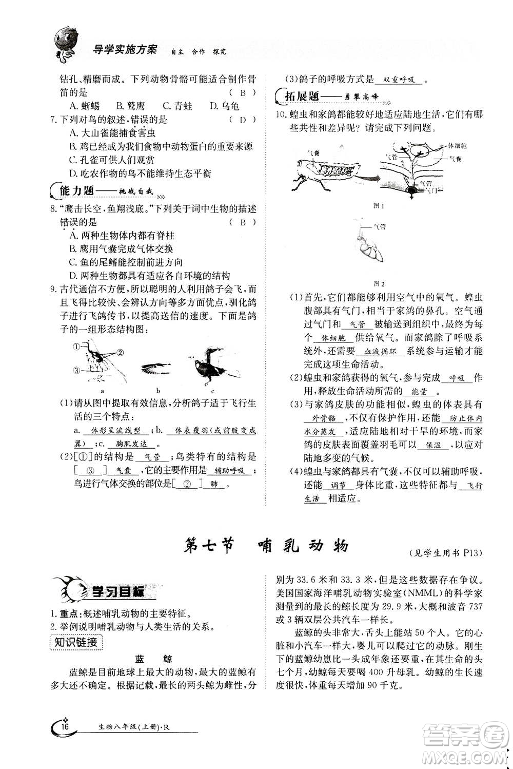 江西高校出版社2020年金太陽導(dǎo)學(xué)案生物八年級(jí)上冊(cè)人教版答案