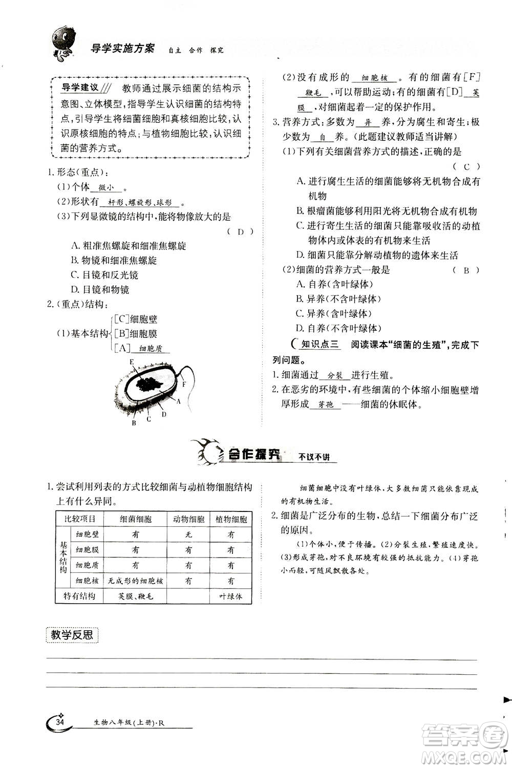 江西高校出版社2020年金太陽導(dǎo)學(xué)案生物八年級(jí)上冊(cè)人教版答案