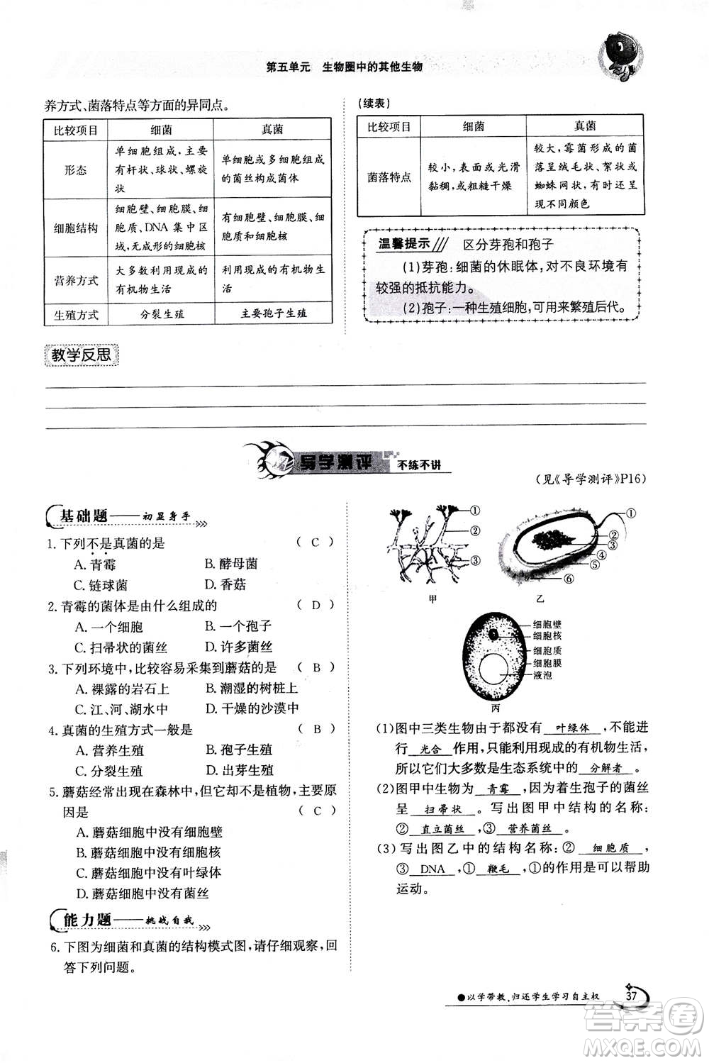 江西高校出版社2020年金太陽導(dǎo)學(xué)案生物八年級(jí)上冊(cè)人教版答案