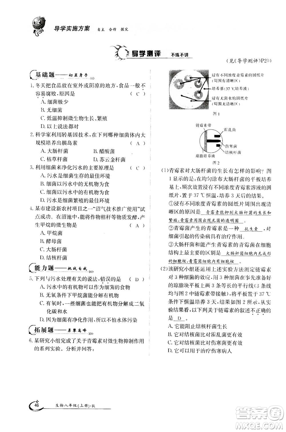 江西高校出版社2020年金太陽導(dǎo)學(xué)案生物八年級(jí)上冊(cè)人教版答案