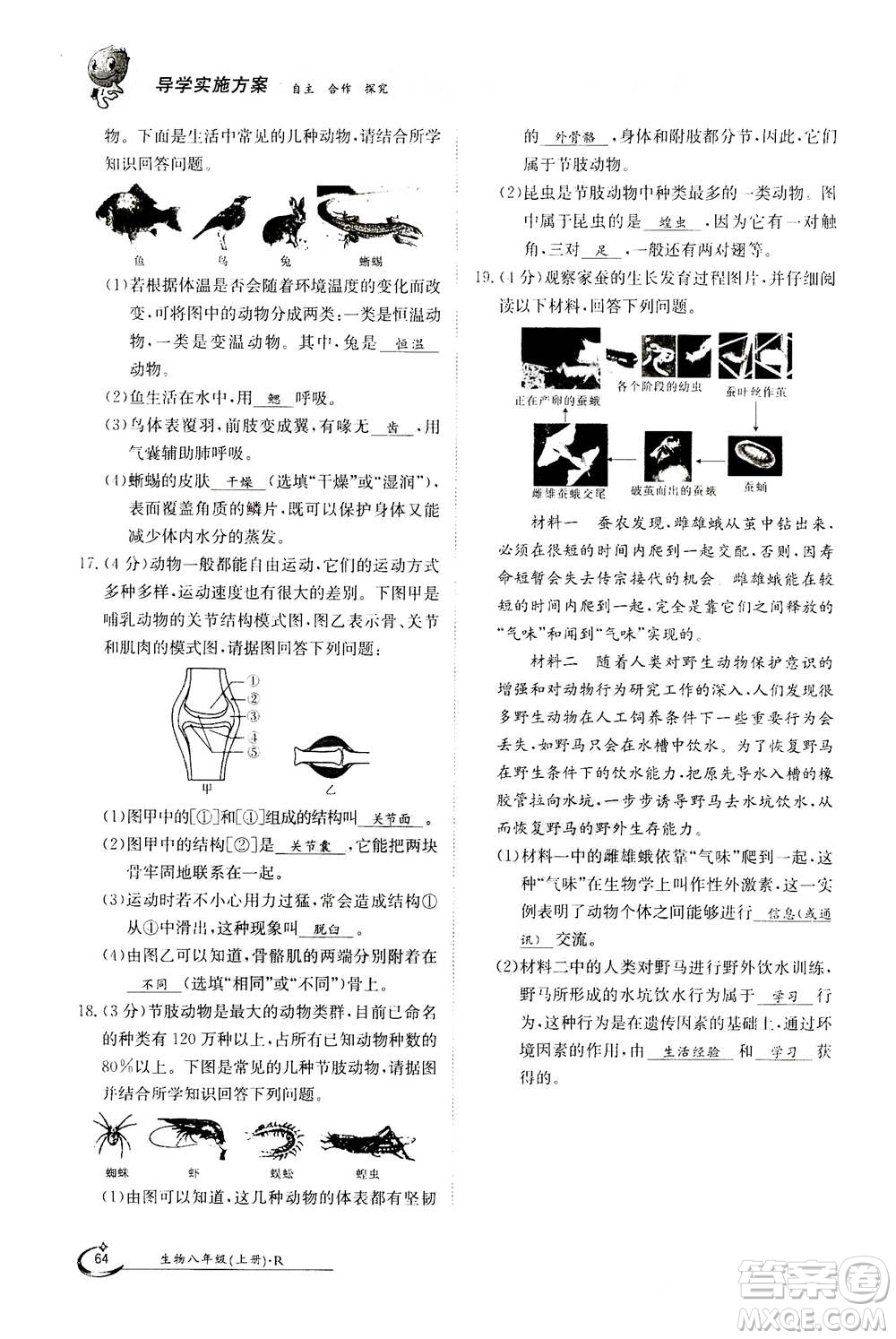 江西高校出版社2020年金太陽導(dǎo)學(xué)案生物八年級(jí)上冊(cè)人教版答案