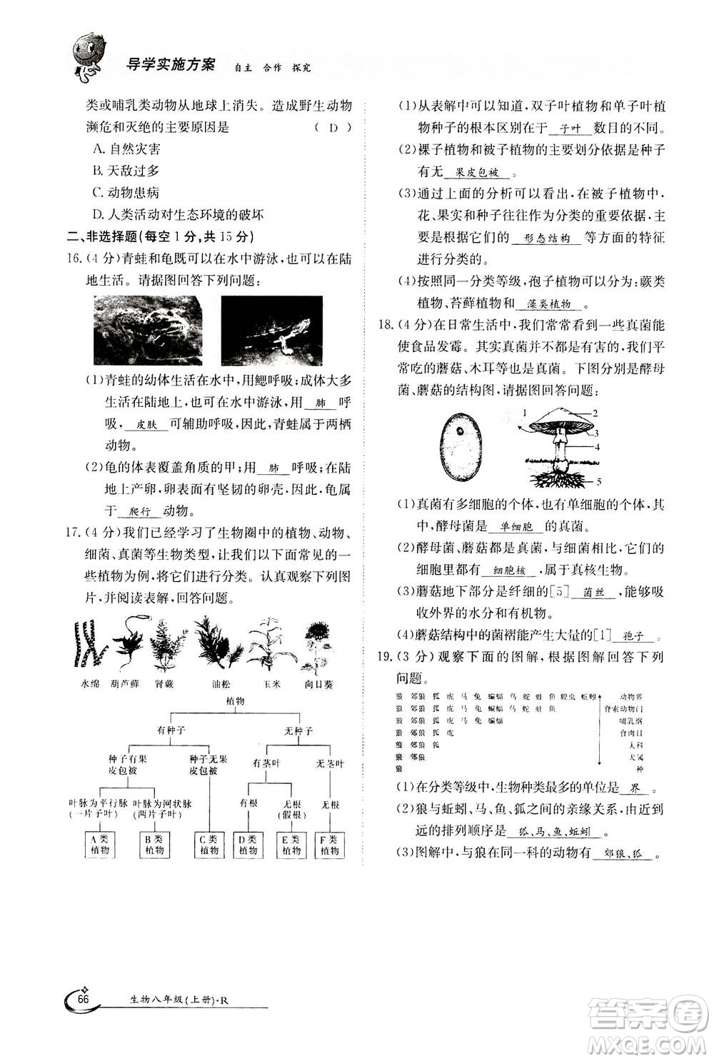 江西高校出版社2020年金太陽導(dǎo)學(xué)案生物八年級(jí)上冊(cè)人教版答案