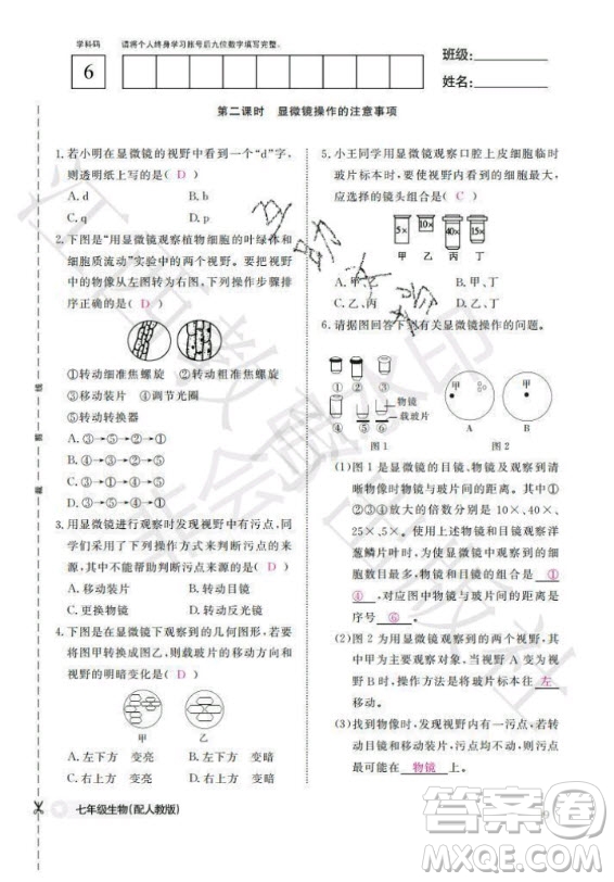 江西教育出版社2020年生物作業(yè)本七年級上冊人教版答案