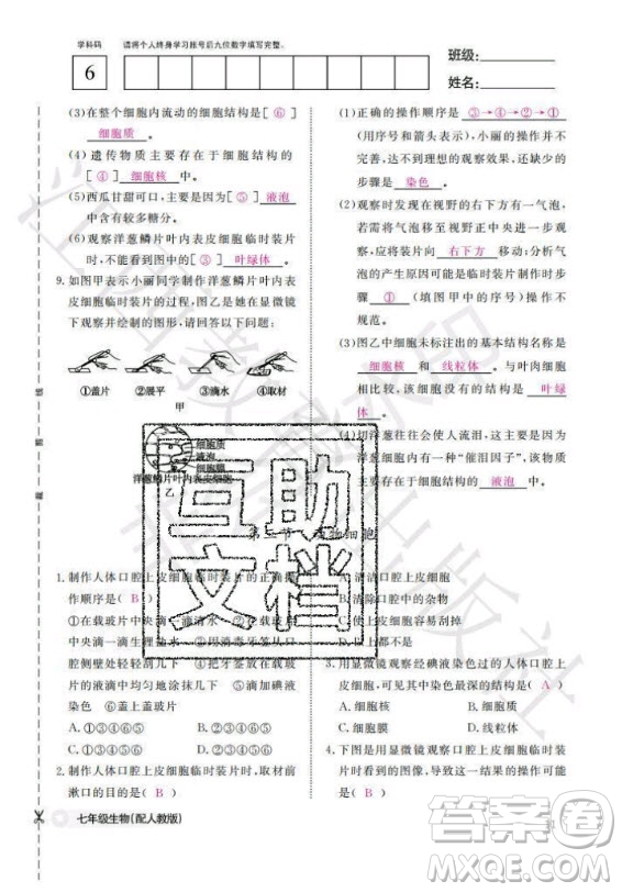 江西教育出版社2020年生物作業(yè)本七年級上冊人教版答案