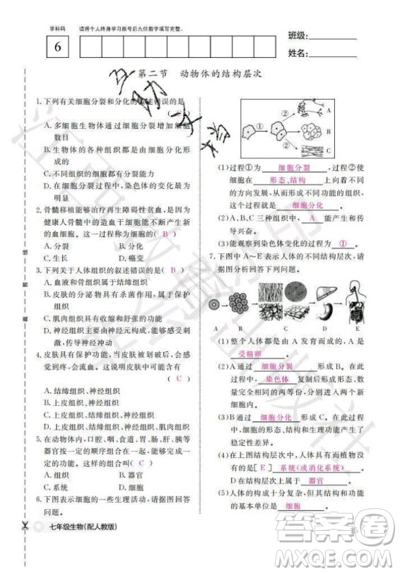 江西教育出版社2020年生物作業(yè)本七年級上冊人教版答案