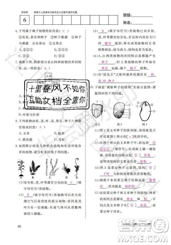 江西教育出版社2020年生物作業(yè)本七年級上冊人教版答案