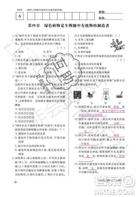 江西教育出版社2020年生物作業(yè)本七年級上冊人教版答案