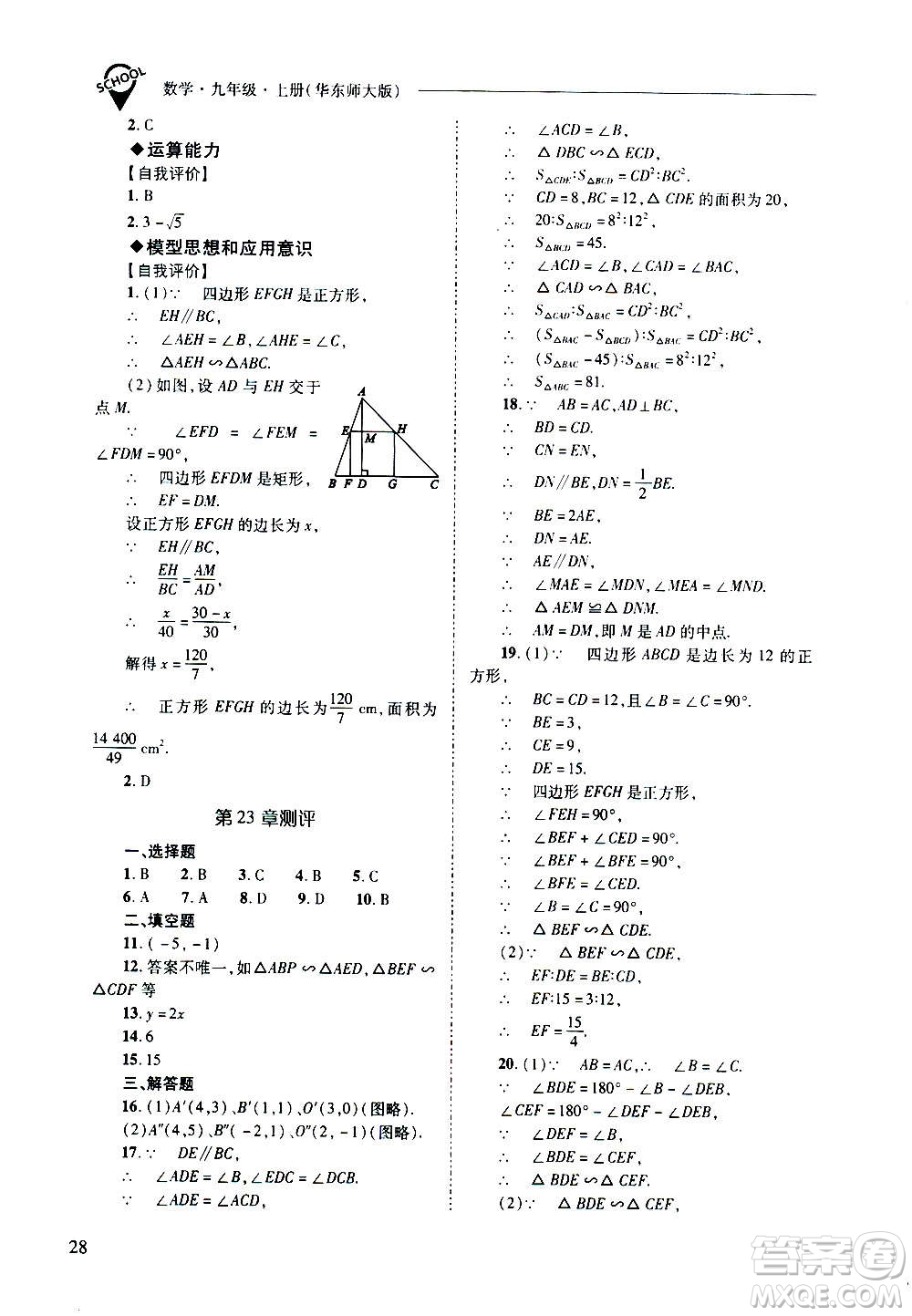 2020年新課程問題解決導(dǎo)學方案數(shù)學九年級上冊華東師大版答案