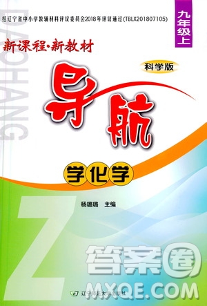 遼寧師范大學(xué)出版社2020年新課程新教材導(dǎo)航學(xué)化學(xué)九年級(jí)上冊(cè)科學(xué)版答案