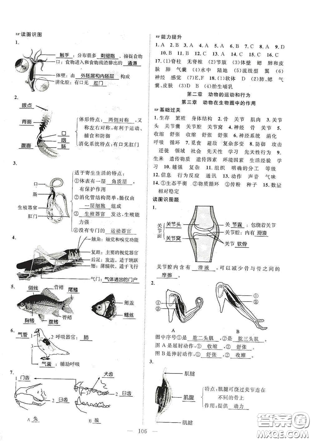 長(zhǎng)江少年兒童出版社2020名師學(xué)案分層進(jìn)階學(xué)習(xí)法八年級(jí)生物上冊(cè)答案