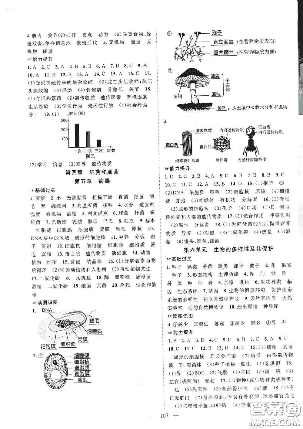 長(zhǎng)江少年兒童出版社2020名師學(xué)案分層進(jìn)階學(xué)習(xí)法八年級(jí)生物上冊(cè)答案