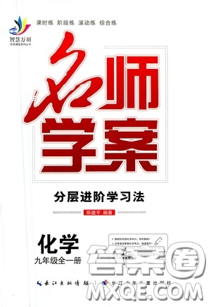 2020名師學(xué)案分層進(jìn)階學(xué)習(xí)法化學(xué)九年級(jí)全一冊(cè)答案