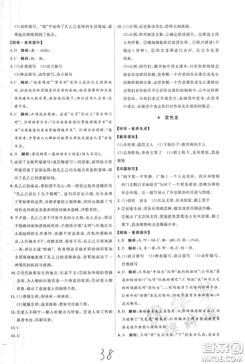 延邊教育出版社2020優(yōu)學案課時通九年級語文全一冊人教版云南專用答案