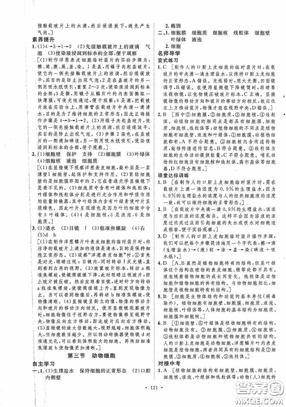 陜西人民出版社2020實(shí)驗(yàn)教材新學(xué)案七年級生物上冊人教版答案