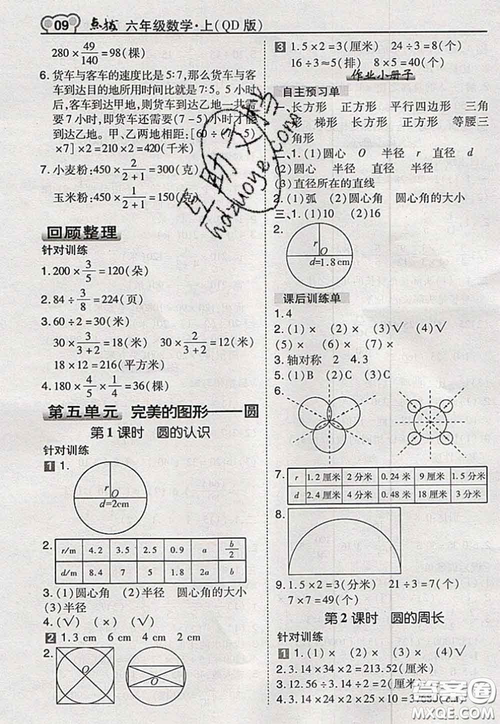 2020秋榮德基特高級教師點撥六年級數(shù)學(xué)上冊青島版參考答案