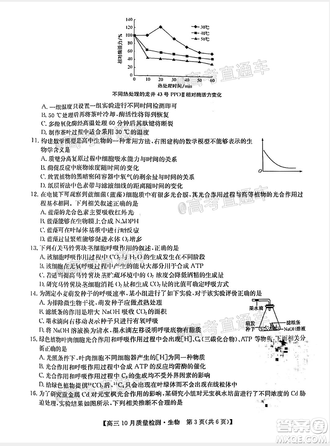 九師聯(lián)盟2020-2021學(xué)年高三10月質(zhì)量檢測(cè)生物試題及答案