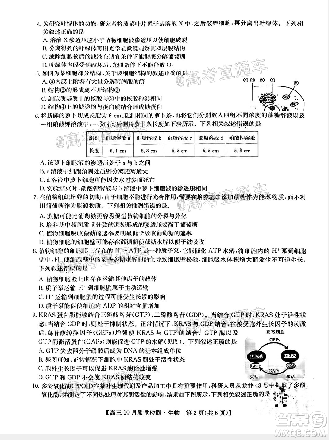 九師聯(lián)盟2020-2021學(xué)年高三10月質(zhì)量檢測(cè)生物試題及答案