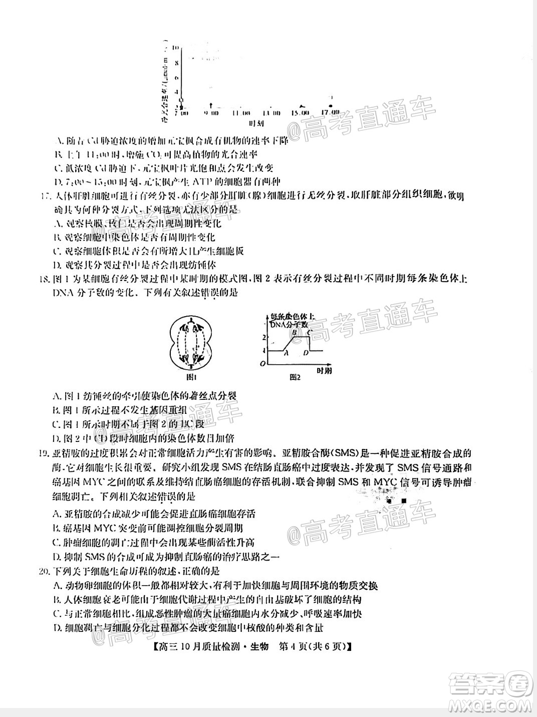 九師聯(lián)盟2020-2021學(xué)年高三10月質(zhì)量檢測(cè)生物試題及答案