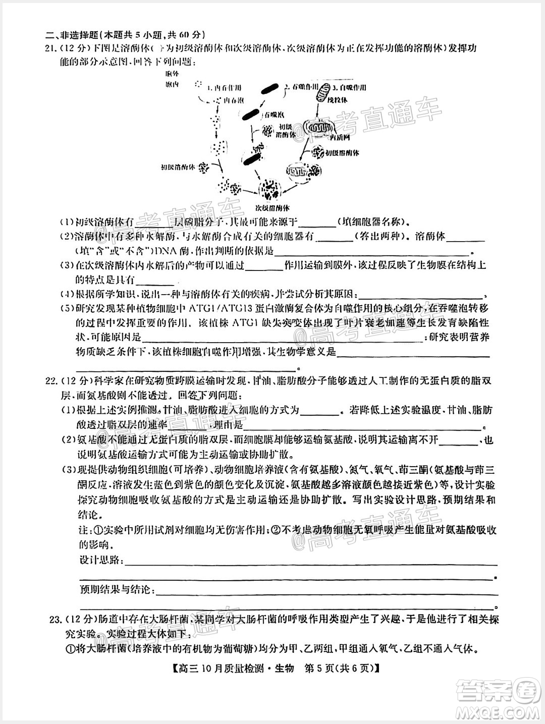 九師聯(lián)盟2020-2021學(xué)年高三10月質(zhì)量檢測(cè)生物試題及答案