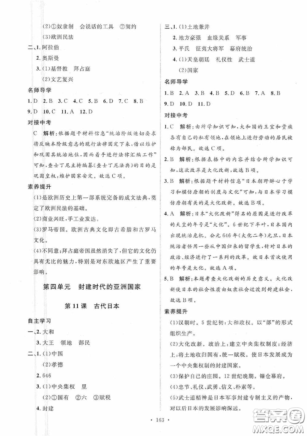 陜西人民出版社2020實驗教材新學案九年級歷史上冊人教版答案