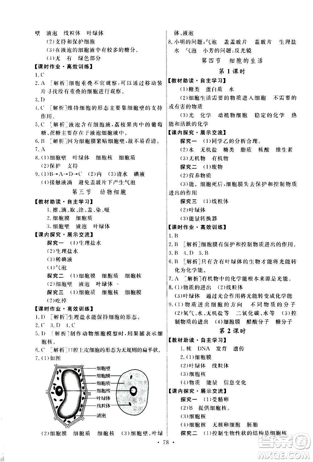 人民教育出版社2020年能力培養(yǎng)與測(cè)試生物學(xué)七年級(jí)上冊(cè)人教版答案