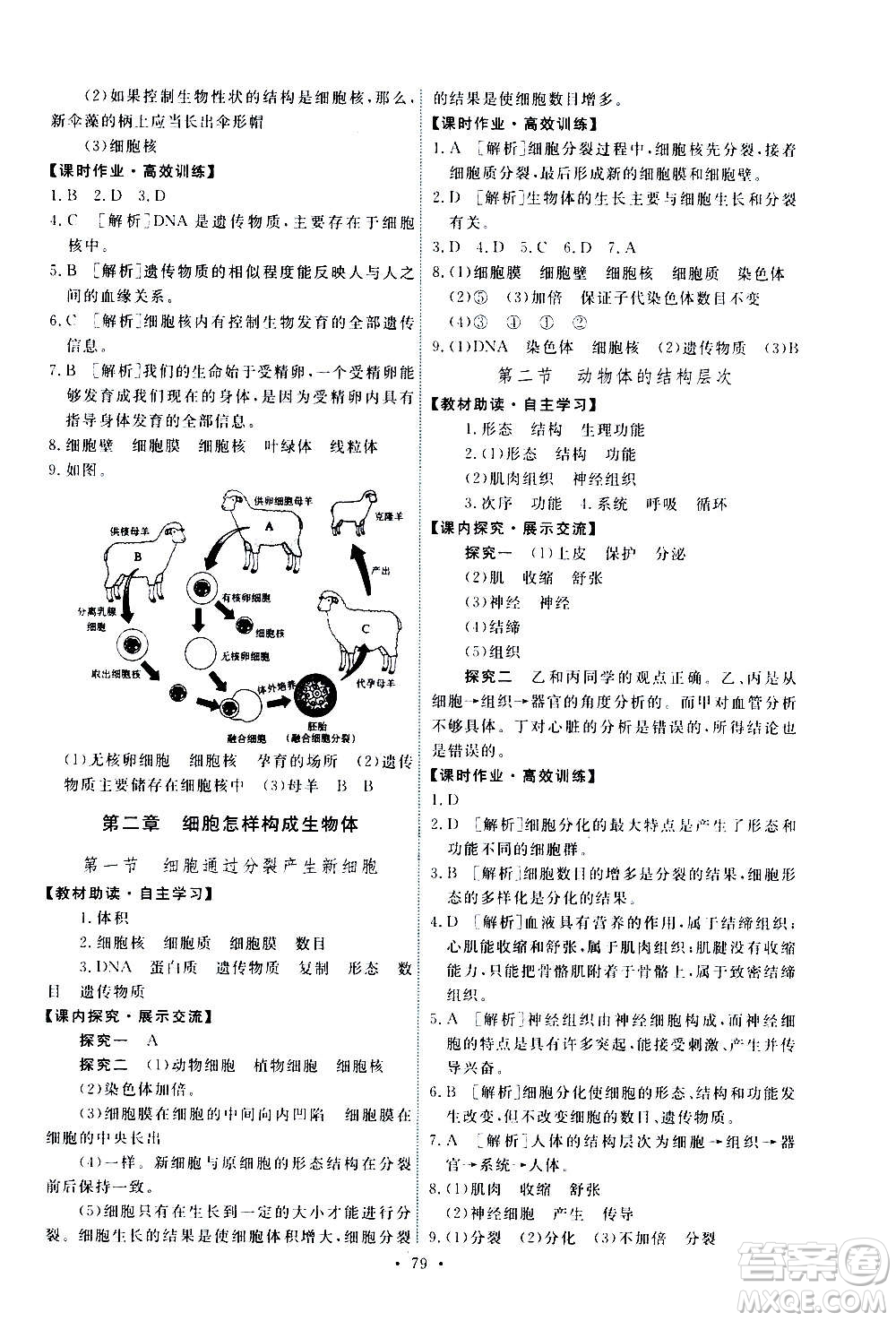 人民教育出版社2020年能力培養(yǎng)與測(cè)試生物學(xué)七年級(jí)上冊(cè)人教版答案