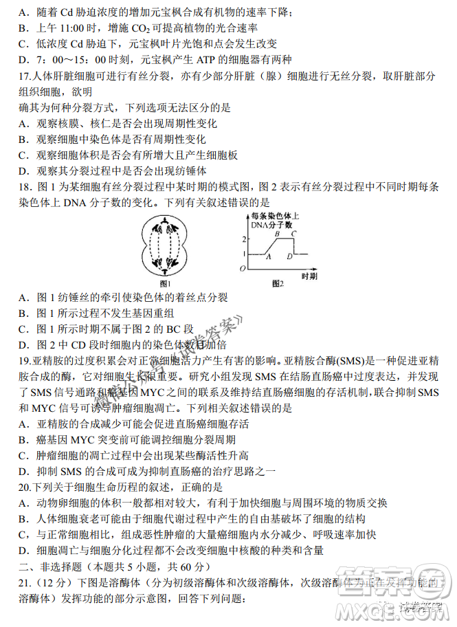 河南省名校聯(lián)盟2021屆高三10月質(zhì)量檢測生物試題及答案