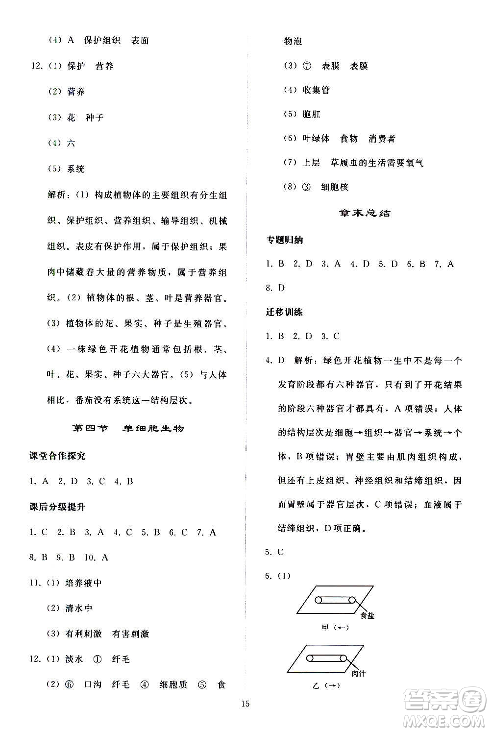 人民教育出版社2020秋同步輕松練習(xí)生物學(xué)七年級(jí)上冊(cè)人教版答案