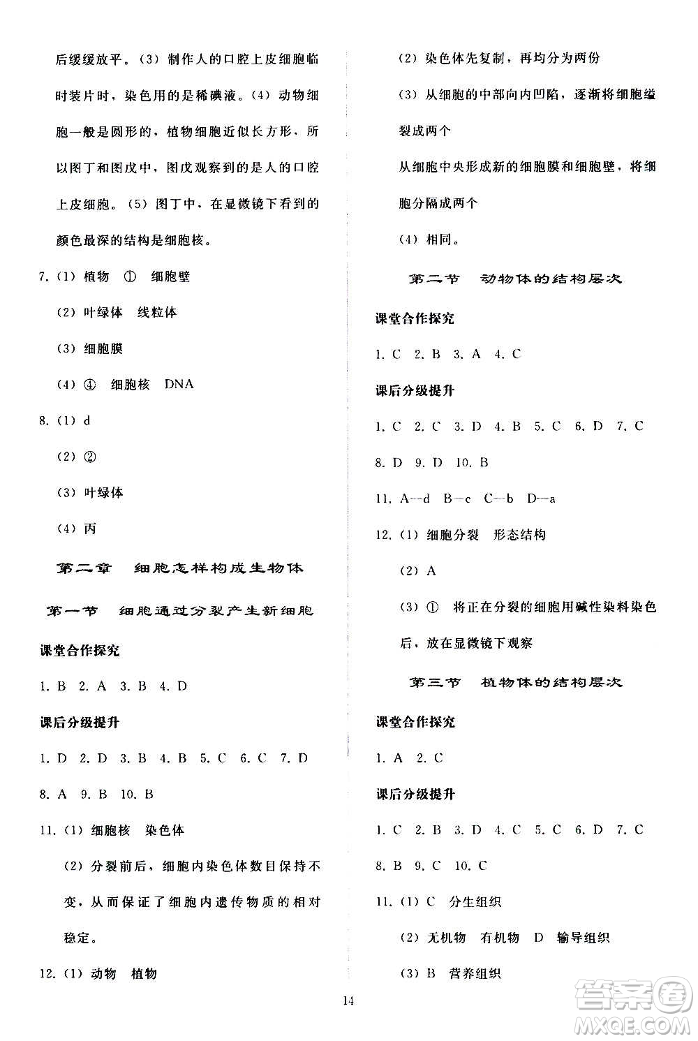 人民教育出版社2020秋同步輕松練習(xí)生物學(xué)七年級(jí)上冊(cè)人教版答案