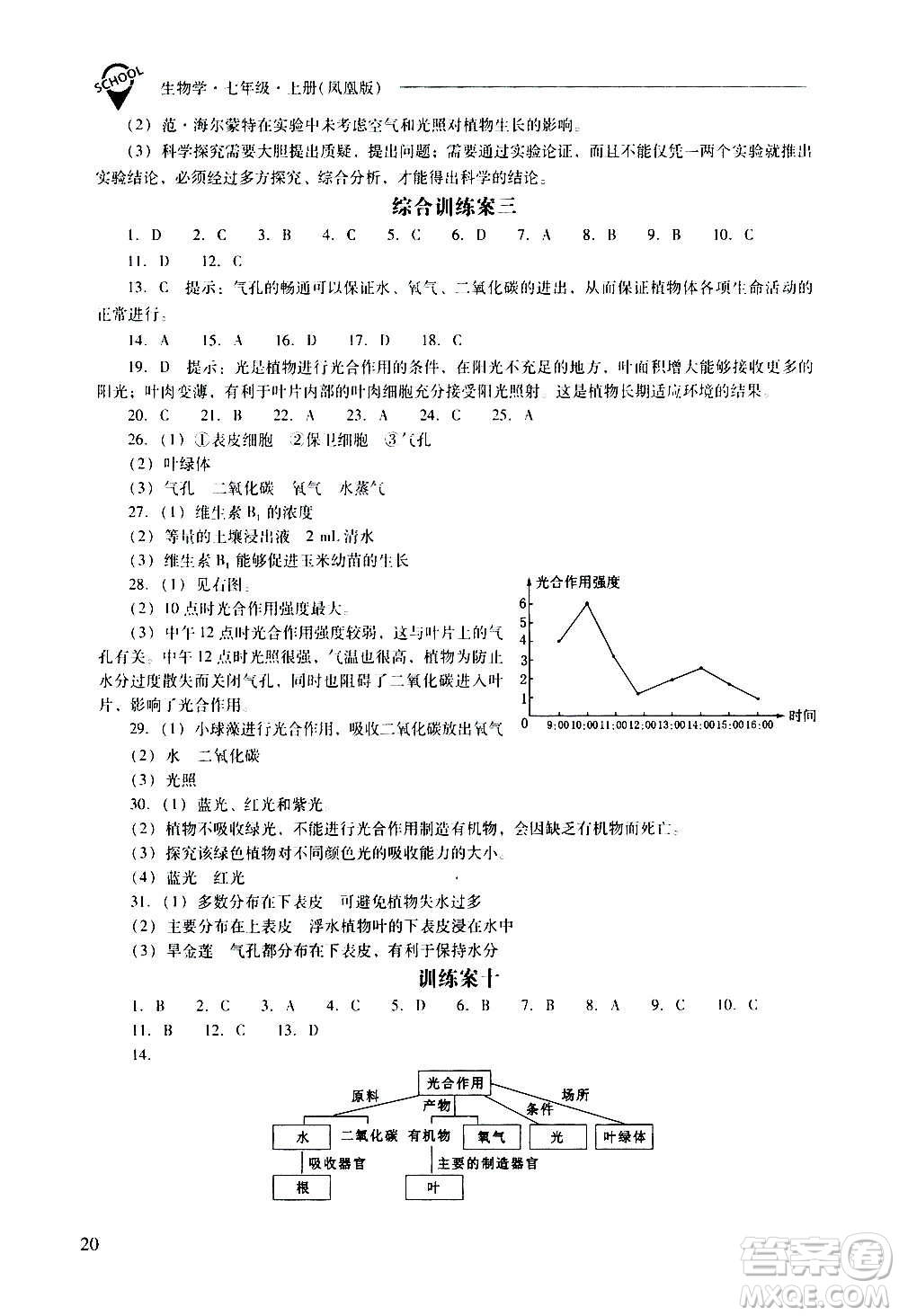 2020秋新課程問題解決導(dǎo)學(xué)方案七年級生物學(xué)上冊鳳凰版參考答案