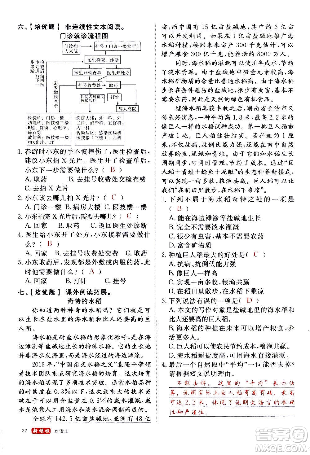 延邊大學(xué)出版社2020年新領(lǐng)程語文五年級上冊人教版答案