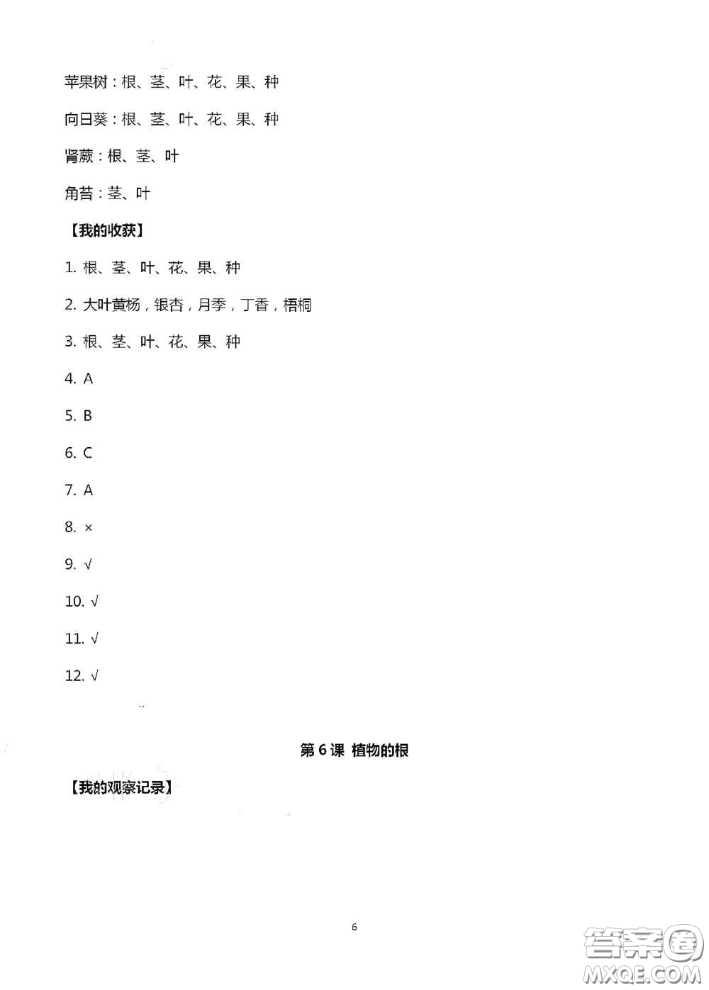 山東美術(shù)出版社2020新課堂同步體驗與探究三年級科學(xué)上冊答案