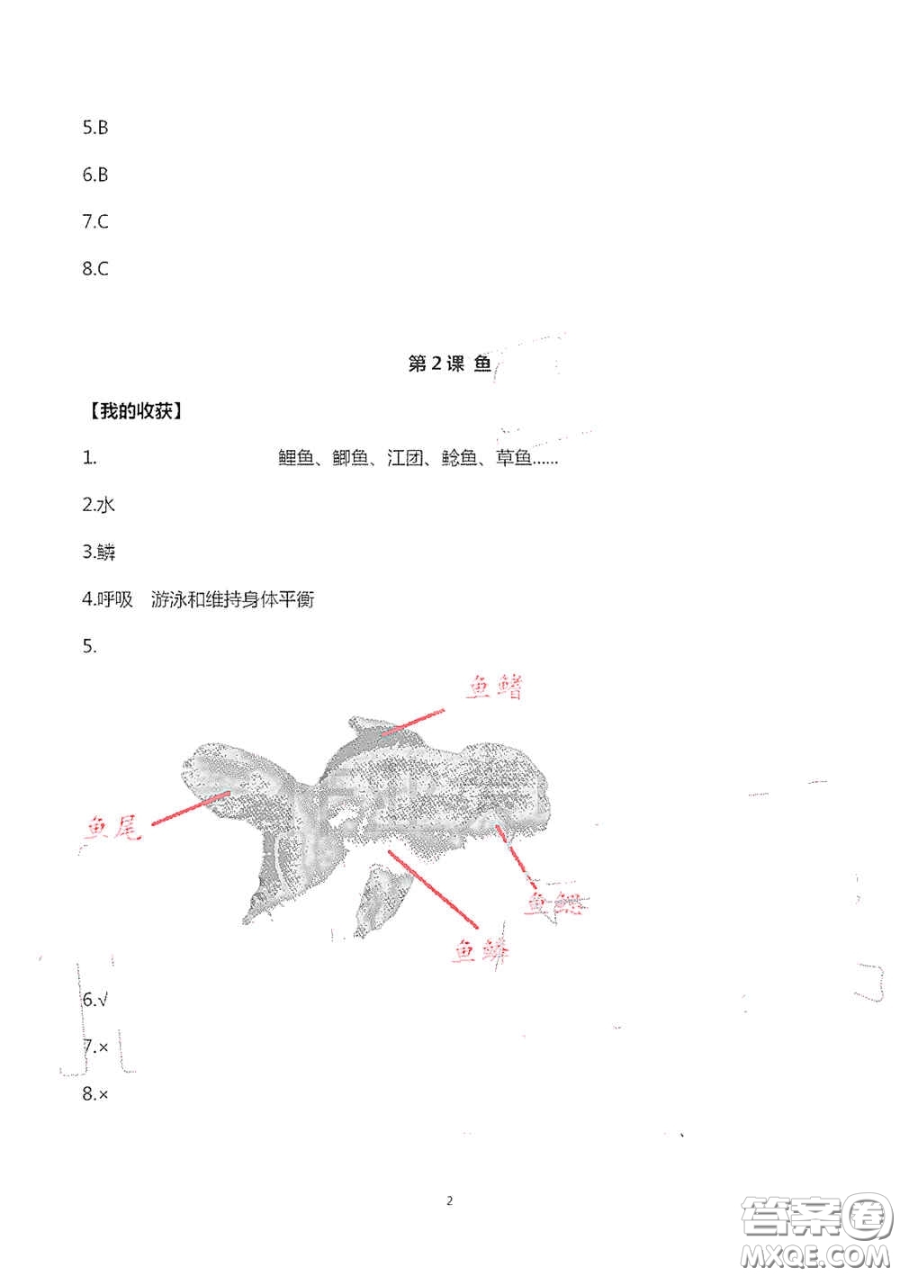 山東美術(shù)出版社2020新課堂同步體驗與探究四年級科學上學期人教版答案