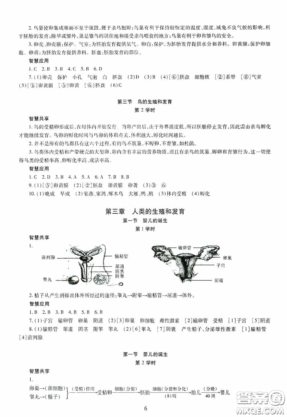 明天出版社2020智慧學(xué)習(xí)八年級生物學(xué)全一冊人教版答案