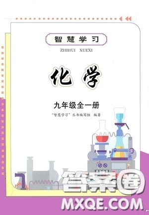 明天出版社2020智慧學習九年級化學全一冊人教版答案