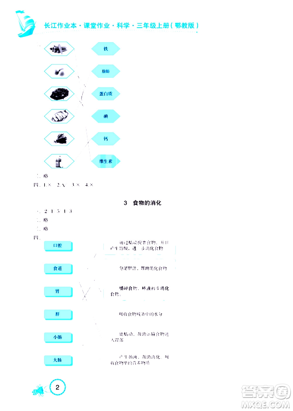 湖北教育出版社2020年長江作業(yè)本課堂作業(yè)科學(xué)三年級上冊鄂教版答案