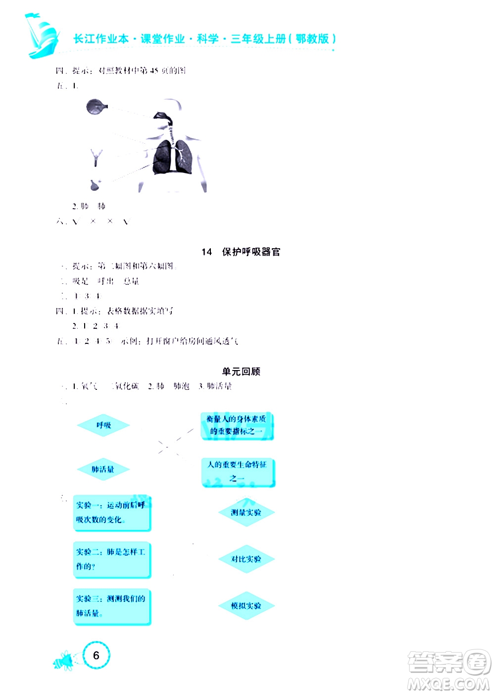 湖北教育出版社2020年長江作業(yè)本課堂作業(yè)科學(xué)三年級上冊鄂教版答案