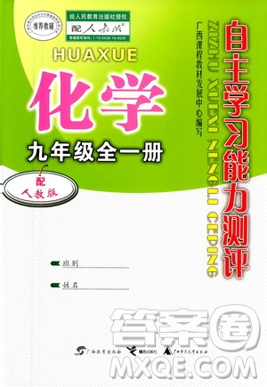 廣西教育出版社2020年自主學習能力測評化學九年級全一冊人教版答案