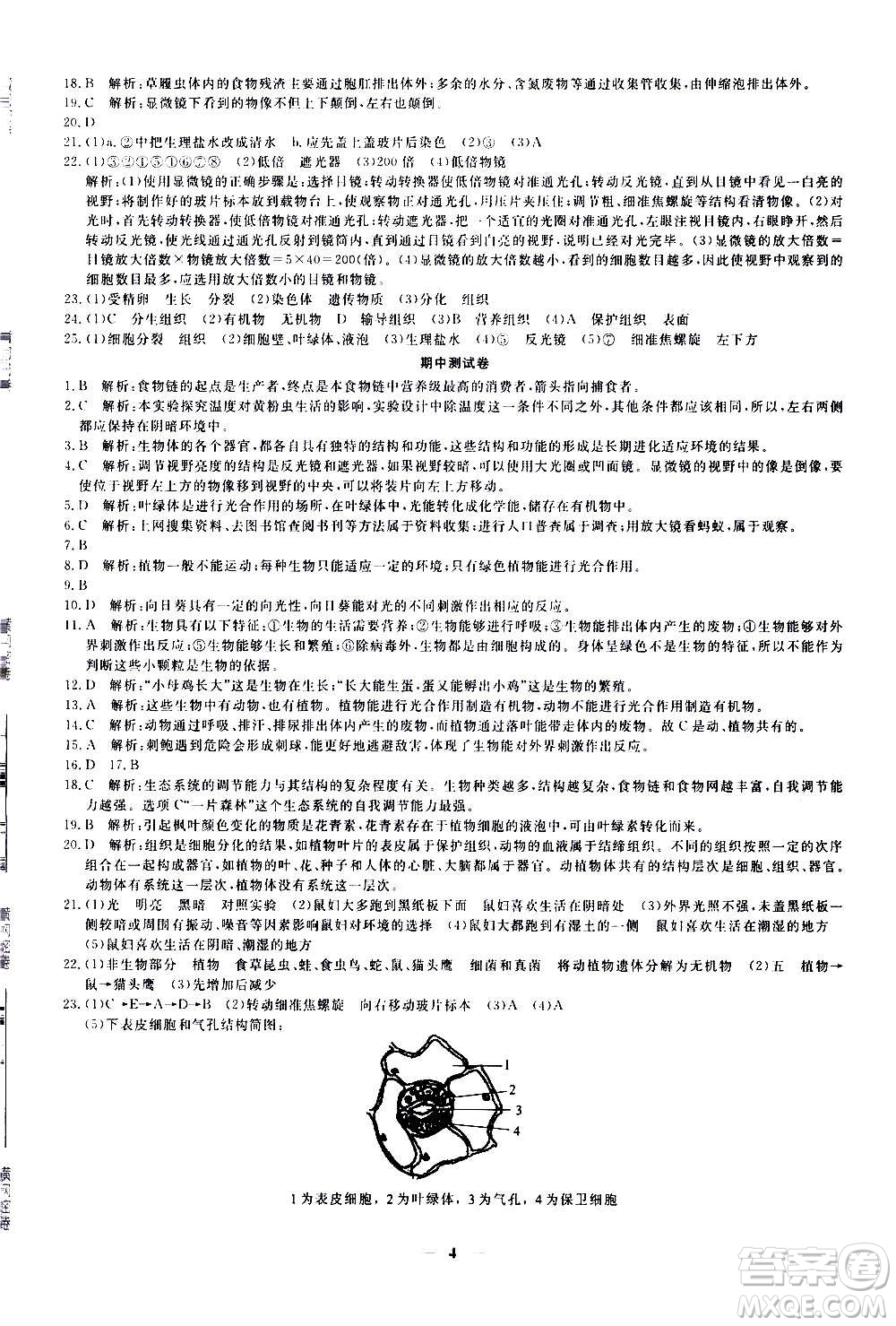 武漢出版社2020年黃岡密卷生物七年級(jí)上冊(cè)RJ人教版答案