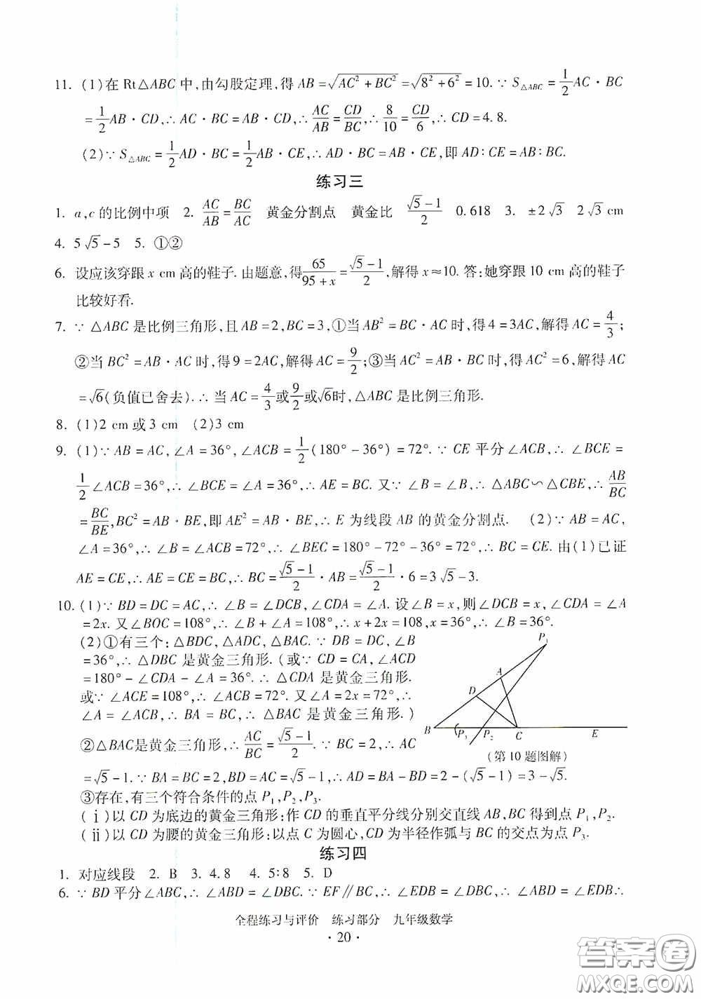 浙江人民出版社2020全程練習與評價九年級數(shù)學全一冊ZH版答案